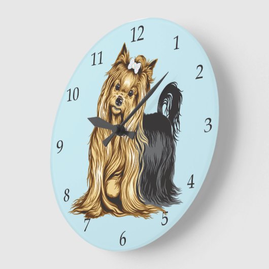 Yorkshire Terrier Grote Klok (Hoek)