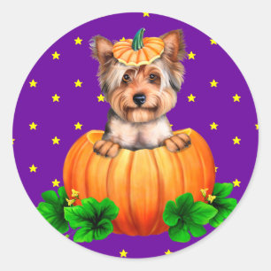 Yorkshire Terrier Halloween Jack-O-Lantern Ronde Sticker