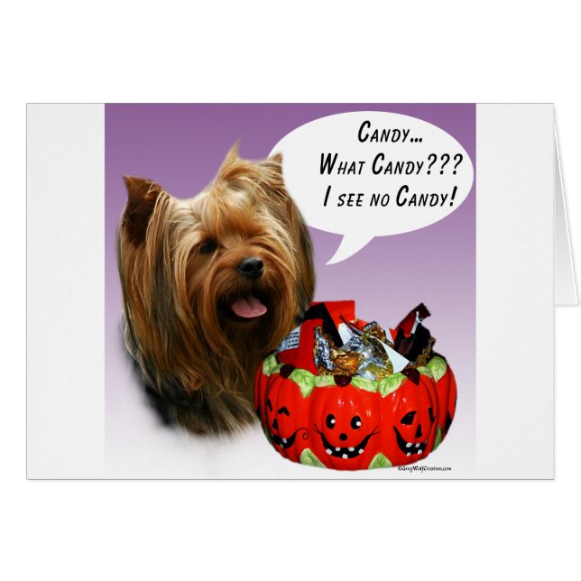 Yorkshire Terrier Halloween Snoep (Voorkant Horizontaal)