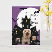 Yorkshire Terrier Halloween Wenskaart Kaart (Gele Bloem)