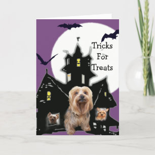 Yorkshire Terrier Halloween Wenskaart Kaart