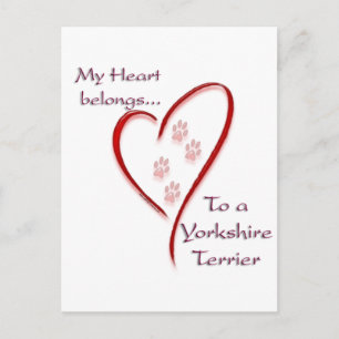 Yorkshire Terrier Heart hoort erbij Briefkaart