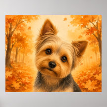Yorkshire Terrier Herfst Bos Hond