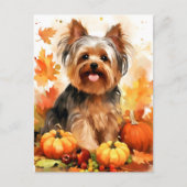 Yorkshire Terrier Herfst Dankzegging Briefkaart (Voorkant)