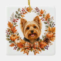 Yorkshire Terrier Herfst