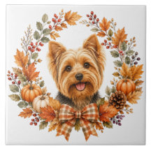 Yorkshire Terrier Herfst