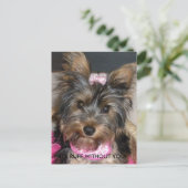Yorkshire Terrier, HET IS RUFF ZONDER JULLIE! Briefkaart (Staand voorkant)