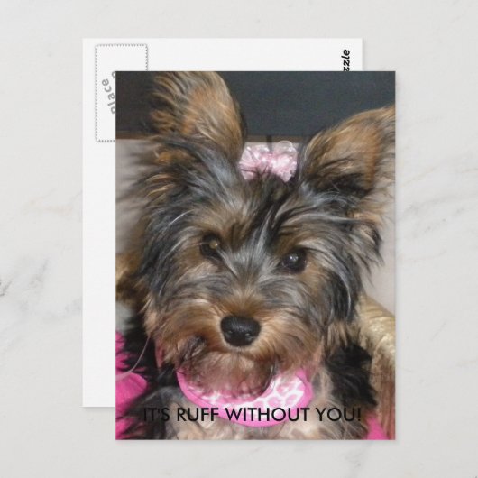 Yorkshire Terrier, HET IS RUFF ZONDER JULLIE! Briefkaart (Voorkant / Achterkant)