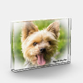 Yorkshire Terrier hond. Fotoblokken (Links)