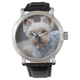 Yorkshire Terriër, Hond, Huisdier Horloge