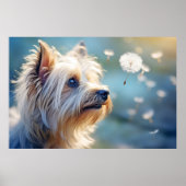 Yorkshire Terrier Hond Huisdier Poster (Voorkant)