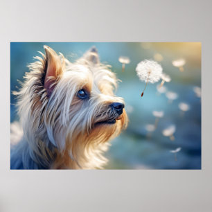 Yorkshire Terrier Hond Huisdier Poster