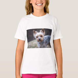 Yorkshire Terriër, Hond, Huisdier T-shirt