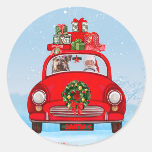 Yorkshire Terrier-hond in auto met kerstman Ronde Sticker
