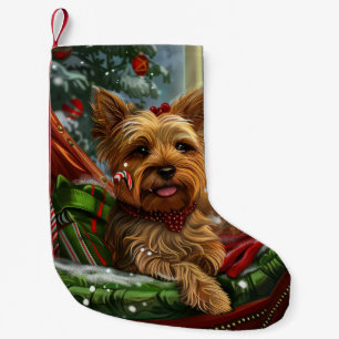 Yorkshire Terrier Hond Kerstfeest Kleine Kerstsok