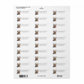 Yorkshire Terrier Hond Retouradres Label (Full Sheet)