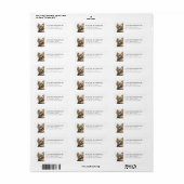 Yorkshire Terrier Hond Retouradres Label (Full Sheet)