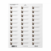 Yorkshire Terrier-hond retouradreslabel Etiket (Full Sheet)
