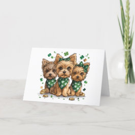 Yorkshire Terrier honden met St. Patrick's Day Feestdagen Kaart