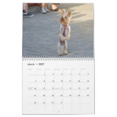 Yorkshire Terrier hondenkalender 2026 Kalender (Mar 2027)