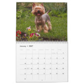 Yorkshire Terrier hondenkalender 2026 Kalender (Jan 2027)