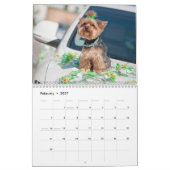Yorkshire Terrier hondenkalender 2026 Kalender (Feb 2027)