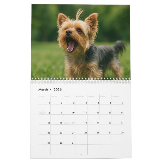 Yorkshire Terrier hondenkalender 2026 Kalender (Mar 2026)