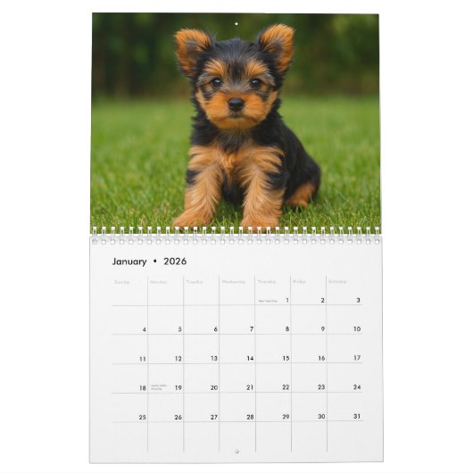 Yorkshire Terrier hondenkalender 2026 Kalender (Jan 2026)