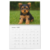 Yorkshire Terrier hondenkalender 2026 Kalender (Jan 2027)