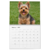 Yorkshire Terrier hondenkalender 2026 Kalender (Feb 2027)