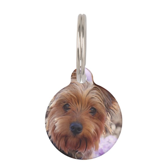 Yorkshire Terrier Huisdierpenning (Voorkant)