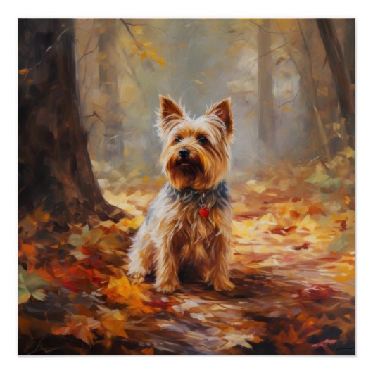 Yorkshire Terrier in de herfst laat Herfst inspire Perfect Poster (Voorkant)
