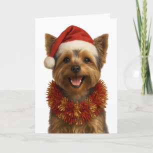 Yorkshire Terrier in een kerstmuts kerstkaart Kaart