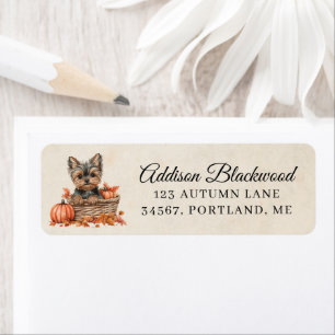 Yorkshire Terrier in een mand met pompoenen Etiket