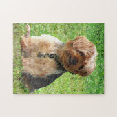Yorkshire Terrier in Park Legpuzzel (Horizontaal)