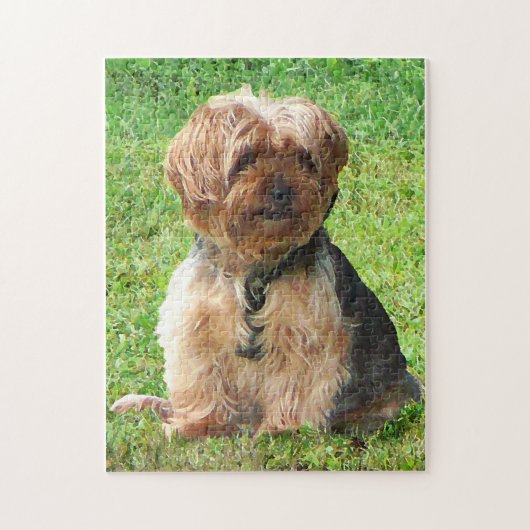 Yorkshire Terrier in Park Legpuzzel (Verticaal)