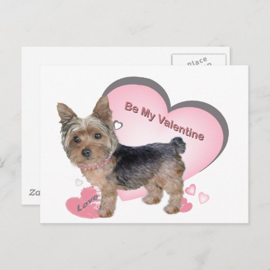 Yorkshire Terrier in roze kaarten (Voorkant / Achterkant)