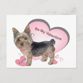 Yorkshire Terrier in roze kaarten