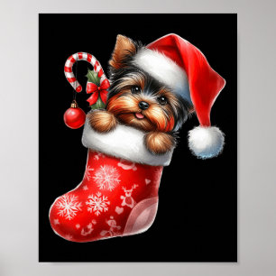 Yorkshire Terrier in Sock-kerstkerstkerstkerstkers Poster