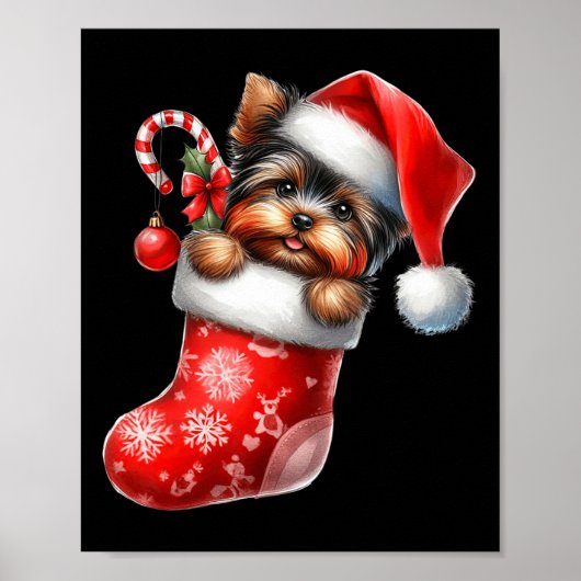 Yorkshire Terrier in Sock-kerstkerstkerstkerstkers Poster (Voorkant)