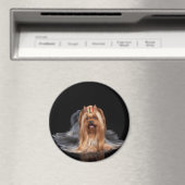 Yorkshire Terrier in zwart-wit Magneet (Insitu (Vaatwasser))