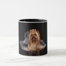 Yorkshire Terrier in zwart-wit