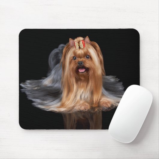 Yorkshire Terrier in zwart-wit Muismat (Met muis)