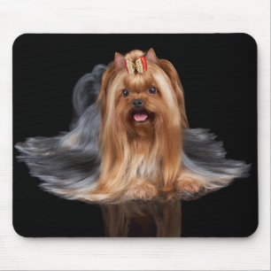 Yorkshire Terrier in zwart-wit Muismat