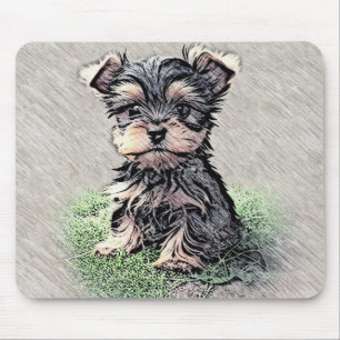 Yorkshire Terrier, Jong dier,hond Muismat