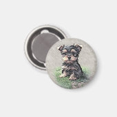 Yorkshire Terrier, Jong dier, huisdier Magneet (Voorkant / Achterkant)