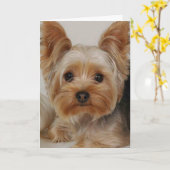 Yorkshire Terrier Kaart (Gele Bloem)