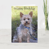 Yorkshire Terrier Kaart (Voorkant)