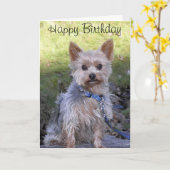 Yorkshire Terrier Kaart (Gele Bloem)