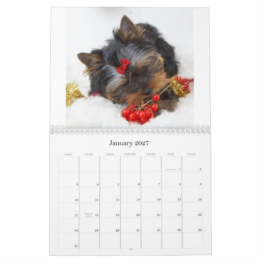 Yorkshire Terrier kalender (Jan 2027)